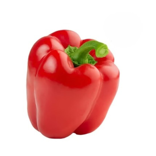 Bell Pepper Bell Pepper