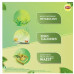 Lipton Clear & Light Green Tea Bags 25 pcs Lipton Clear & Light Green Tea Bags 25 pcs