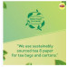 Lipton Clear & Light Green Tea Bags 25 pcs Lipton Clear & Light Green Tea Bags 25 pcs