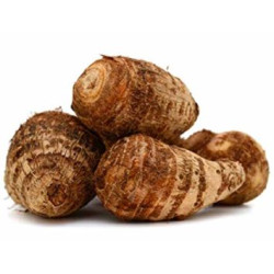 Banda (Taro Root) Banda (Taro Root)