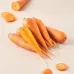 Carrot - Orange 250g Carrot - Orange 250g