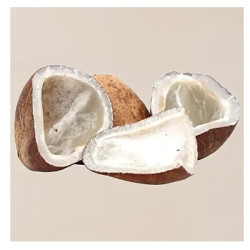Dry Copra/Coconut, (Medium) Dry Copra/Coconut, (Medium)