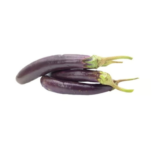 Long Purple Brinjal Long Purple Brinjal
