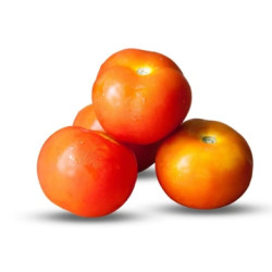 Desi Tomato Desi Tomato