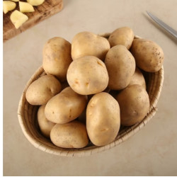 Potato Potato