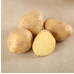 Potato Potato